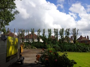 Lime Trees, Cannock - After