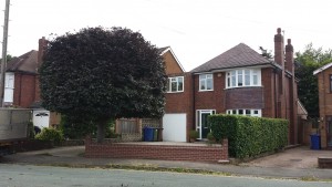 Copper Beech & Hedge Tidy, Cannock - After
